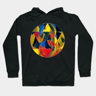 Geometric collage of parrot feathers oil painting Hoodie